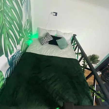 Vibes * Brašov
